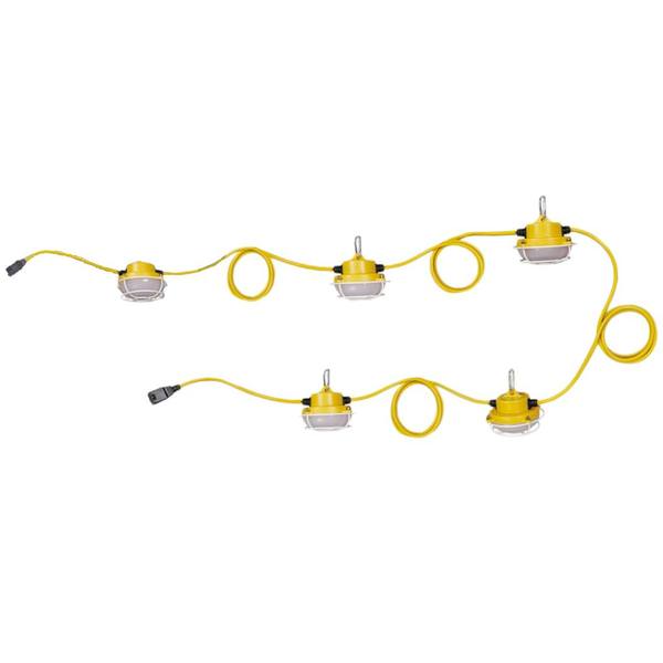 50' 40 watt LED Temporary Light String